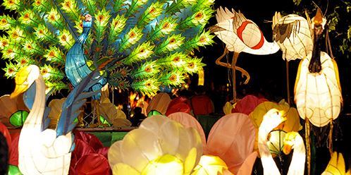 More elaborate lantern displays! Photo courtesy of discoverhongkong.com